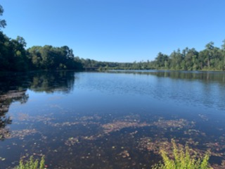 clearwater pond 